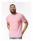 Gildan Short Sleeve Crewneck Softstyle T-Shirt – Lightweight Unisex Tee for Everyday